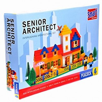 Senior architect game  Gifts for Kids Delivery Jaipur, Rajasthan